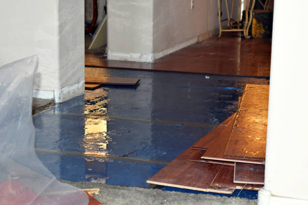 Professional Storm Water Damage Restoration technician working in Logan, NM